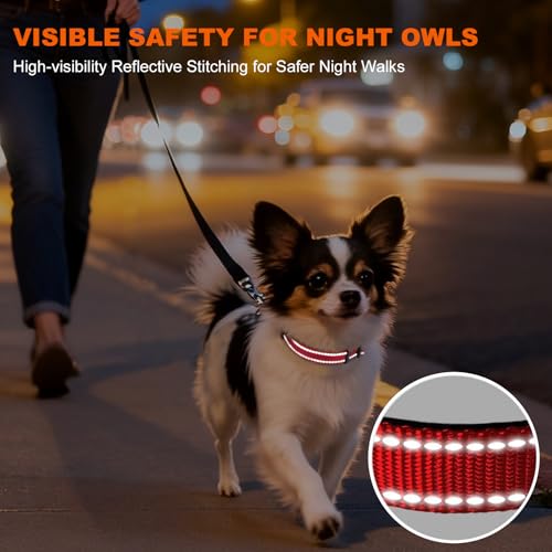 Image of Taglory Reflective Dog Collar for Puppy Dogs, Padded Nylon with Buckle, Red