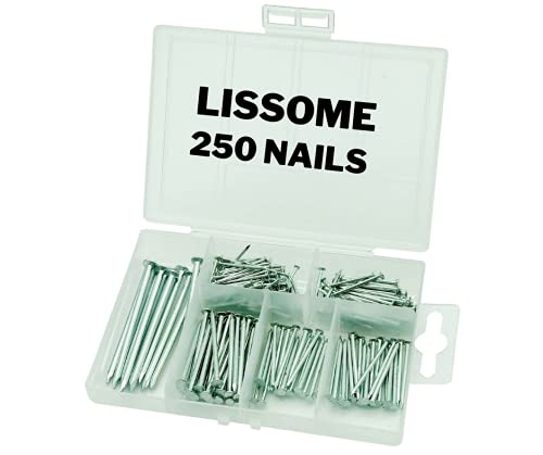 Wood Nails Set, Assortment Hardware Used for Wood & DIY (Pack of 250)