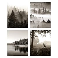 モノクロ風景写真 湖の静寂　A3サイズ　額・白マット付き モノクロ風景写真 湖の静寂 A3サイズ 額・白マット付き 静寂