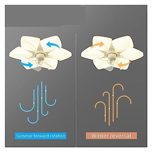 Ventilateur de plafond LED à fréquence variable pour chambre et salon - 5