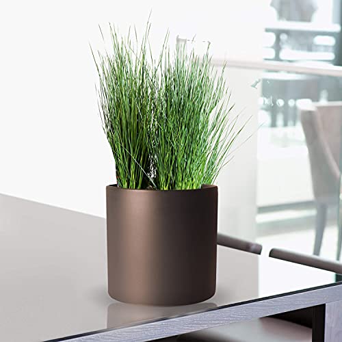 Image of Xtore Pleasing Planter Flower Pot | Home Decor Addon | Matte Finish - Pack of 1, Brown