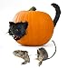 Prextex Halloween Creepy Scary Cat and Furry Rat Heads & Tails Spooky Pumpkin Prop Décor Fun & Creepy Jack-O-Lantern Display