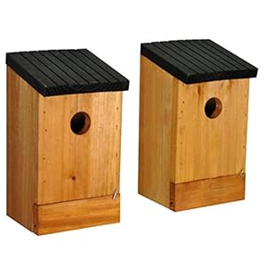 Selections Traditional Wooden Bird Nest Box Bird House (Pack of 2)