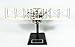 Mastercraft Collection Wright Flyer 