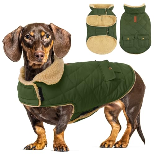 CITÉTOILE Wintermantel Hundemantel, Warme Winterjacken mit Fleece für Hunde,Hundejacke Hundekleidung Hundepullover Dog Coat mit Geschirr Loch für Chihuahua Dackel, Grün, L