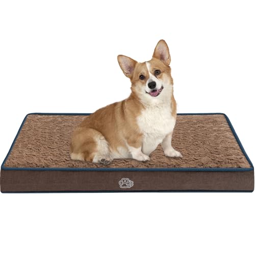 EMPSIGN Tappetino per cani da 76 cm, reversibile, caldo e fresco, lavabile, con supporto in schiuma per gabbia per uova, tappetino per animali domestici, per cani di taglia grande, media e piccola