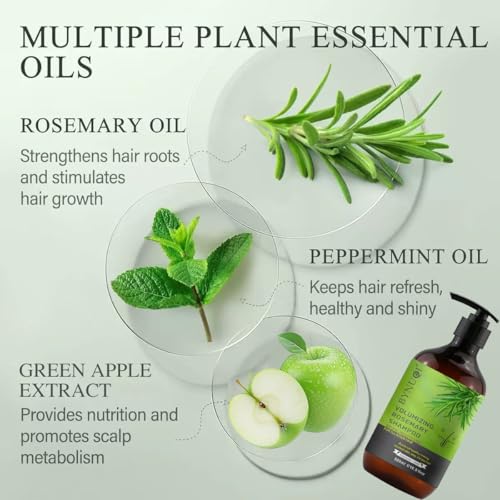 Image of Rosemary Shampoo for Hair Growth, High-Rosemary Volumizing Shampoo for Thin & Fine Hair, Sulfate Free Amino Acid Shampoo with Moringa, Hibiscus & Aloe Vera, Scalp Care for Oily Roots, 16.9 Fl Oz