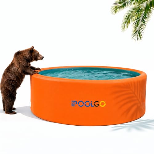 IPOOLGO Extra Large Inflatable Pool 10.2ft X 48in Extra Large and Thickened Family Inflatable Pool Suitable for Summer Outdoor Water Party Use.Inflatable Pump and Sand Filter Pump Not Included.