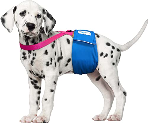 Image of PAW Inspired Dog Diaper Suspenders, Pink, X-Small /Small | Stretchy Adjustable Straps, Velcro Closures, For Female and Male Disposable and Washable Diapers