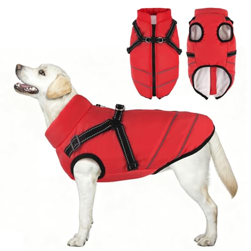 Koramaku  ȕR[g ̌^ȃR[g ˃e[vfUC n[lXt wJ   Ԕ g ybg L   ~ ^ ^ EȒP N xXg h h  WPbg[hO U(Red