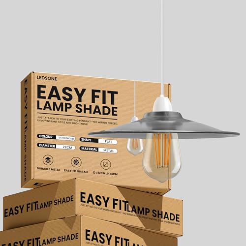 LEDSone Industrial Style Satin Nickel Brass Metal Ceiling Light Shade Easy Fit 22cm Flat Pendant Lighting Lamp Shade with Reducer Ring Childern Living Room Hallway Restaurant & Home Improvement