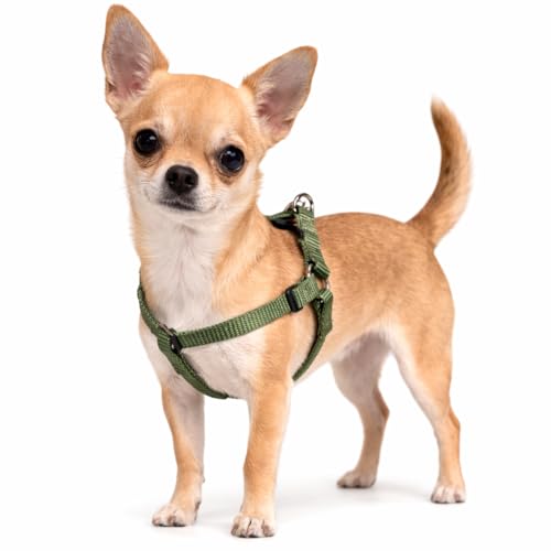 Harnais Chien - Harnais Step&Go Ziggi Kaki - Taille XS - 20-35 cm / 20-35 cm - Nylon réglable - Double Anneaux - Fermeture Clip