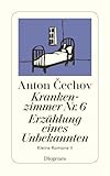 Krankenzimmer Nr. 6. Erzählung eines Unbekannten. Kleine Romane II. (detebe) - Anton Cechov 