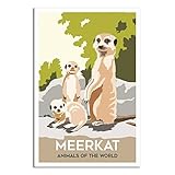 Satisfaction client garantie : nous nous engageons à fournir un excellent service client. Si vous avez des questions ou des préoccupations, n'hésitez pas à nous contacter. Nous garantissons la qualité de notre produit et offrons une politique de retour ou de remplacement sans tracas.