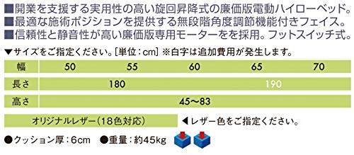 Amazon.co.jp: 【高田ベッド 電動マッサージベッド】 電動ライト