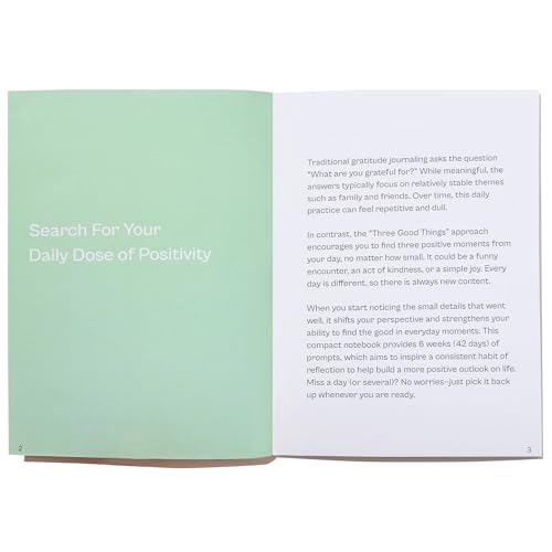 Image of Positivity & Gratitude Journal - Simple daily prompts to shift perspective, see the good, and focus on all that is going well around you. Perfect for Injury Recovery, Surgery, or Life's Untimely Setbacks (See Good Things - Capture What's Going Right)