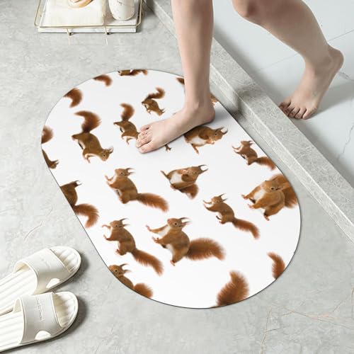 Tapis de bain écureuil à séchage rapide : dites adieu aux sols humides