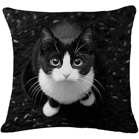 Ktenme Housse De Coussin Carree Imprime Chat Noir Et Blanc 45 X 45 Cm Noir Amazon Fr Cuisine Maison Ktenme Housse De Coussin Carree Imprime Chat Noir Et Blanc 45 X 45 Cm Noir Amazon Fr Cuisine Maison