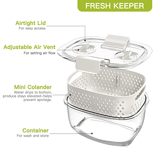 Luxear Fresh Produce Vegetable Fruit Storage Containers 3Piece Set, Bpa-Free Fridge Storage Container, Partitioned Salad Container, Fridge Organizers, Used In Storing Fruits Vegetables Meat Fresh Fish #TOP7