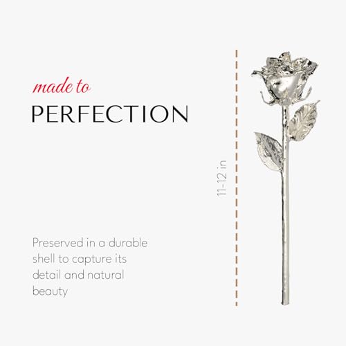 Image of Forever Rose Real Rose Dipped in Silver, Luxury Leather Display Case