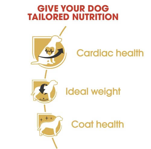 Royal Canin Cavalier King Charles Futter für Erwachsene, 1,5 kg