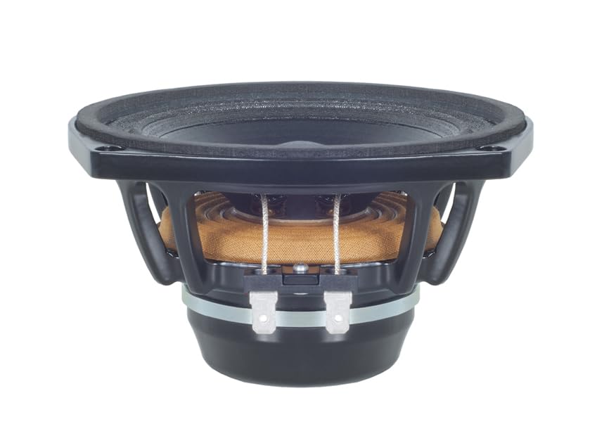 Design: questo altoparlante dispone di un surround Triple Roll e una forma conica esponenziale per una migliore escursione e dispersione del suono. Utilizza un magnete ad anello al neodimio con un design Straight Pole per un controllo magnetico efficiente. Un singolo ragno supporta la stabilità del cono, mentre il trattamento impermeabile frontale aggiunge durata per l'uso in ambienti difficili.