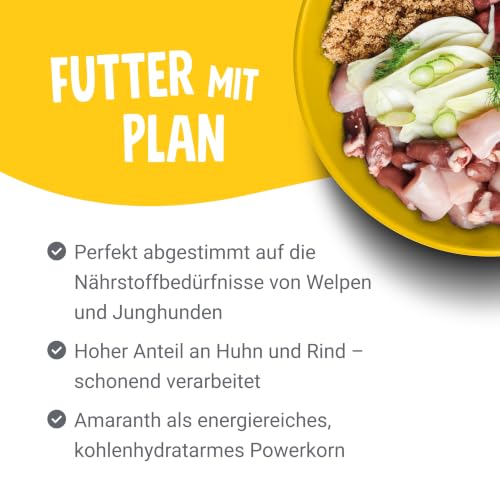 Pets Deli Junior Nassfutter für Hunde mit Huhn, 6x400g