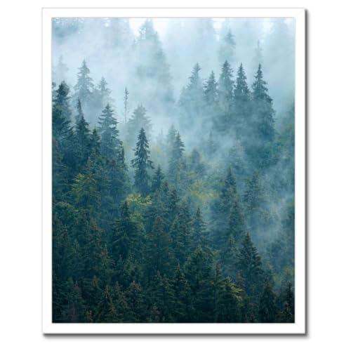 Poster forêt dans le brouillard cadre noir 40 x 50 cm, tableau décoration murale nature