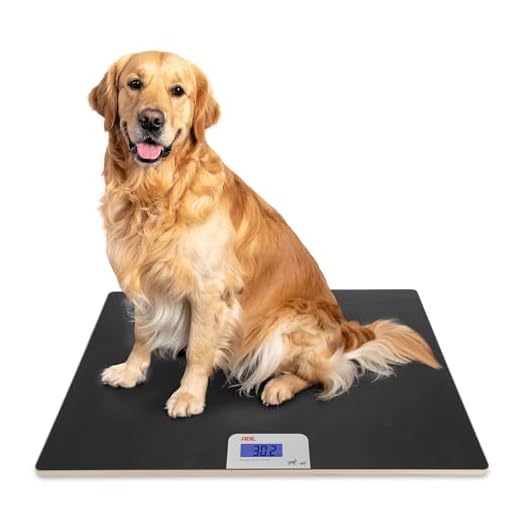 Große digitale Haustierwaage