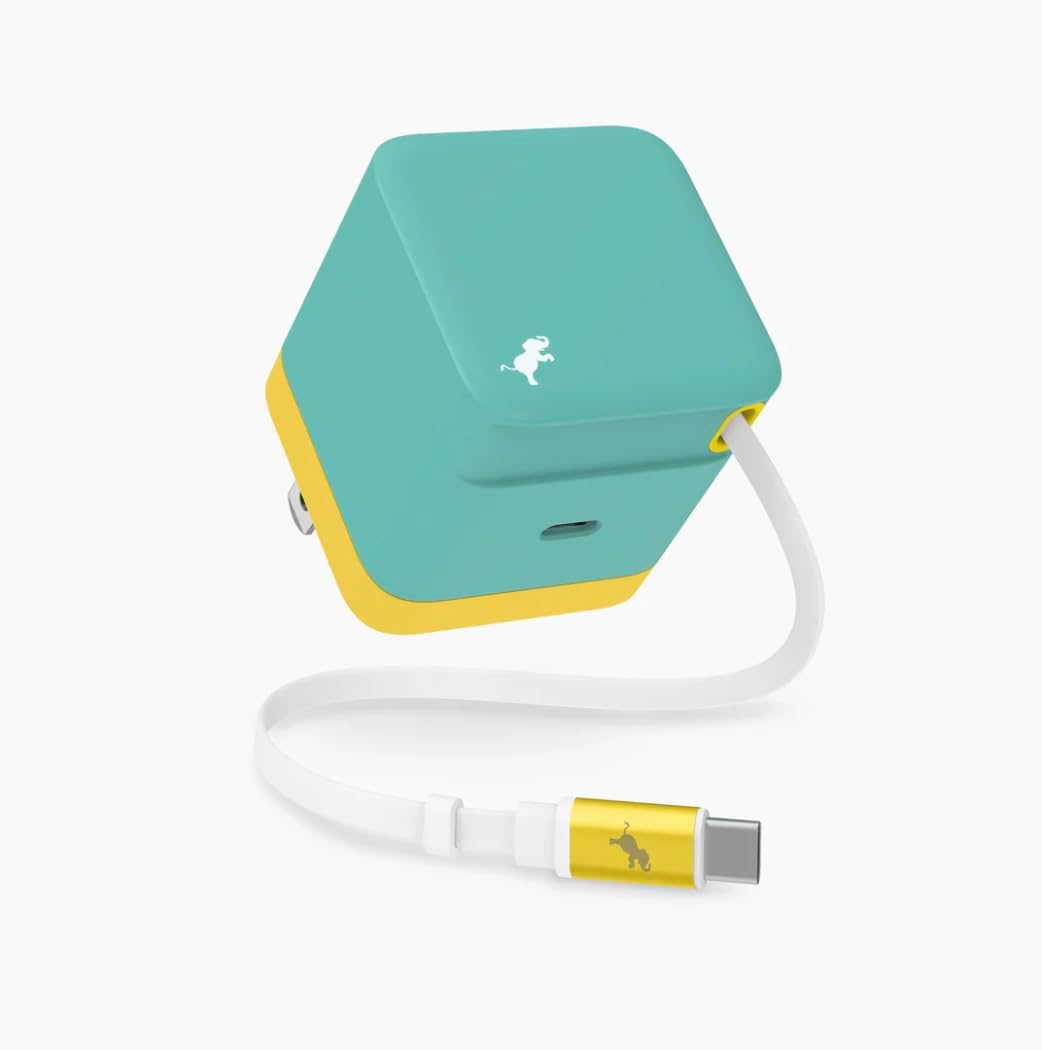 Wally Stretch 65W Retractable Wall Charger, 2ft USB-C Cable, Teal | Extra USB-C Port for Dual Charging, Easy-to-Carry, Foldable Plug Adapter for iPhone 17/16/15/14, Airpods, iPad, Laptops