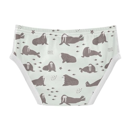 Boys' Underwear Cotton Little Boys Walrus Briefs Soft Toddler Underwear 2T-8Y2