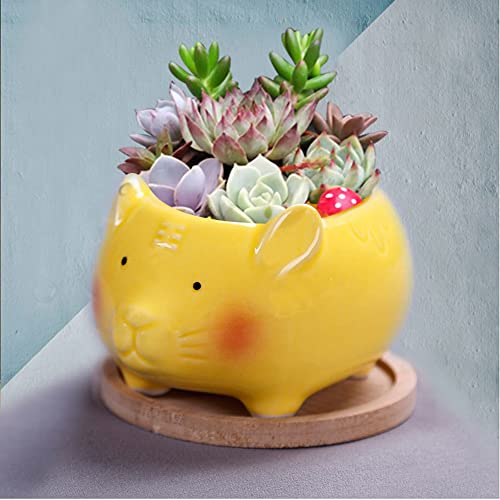 ledmomo 陶器植木鉢 4個 黄色い虎 可愛い 北欧 ミニ 鉢植え 観葉植物 サボテン 多肉植物