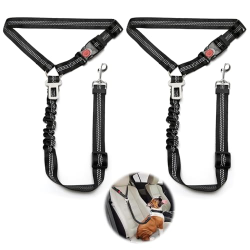 2 pièces réglable Ceinture securite Chien Voiture, Coussin élastique Anti-Vibration Ceinture sécurité Chien Convient aux Voitures (Noir + Noir)