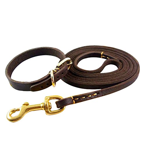 1.6 m collare e guinzaglio in pelle per cane intrecciato animale domestico guinzaglio con collare Collana martingal Dog Leash Collar per cuccioli piccolo Media cani (cuciture, S)