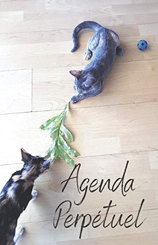 Agenda perpétuel: amoureux des chats