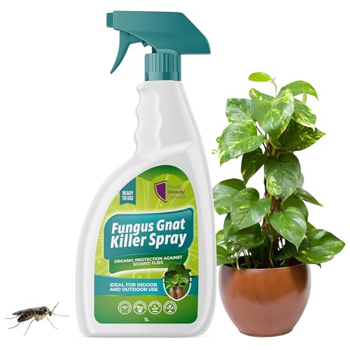 Fungus Gnat Killer Spray 1L | Organic Protection Against Sciarid Flies | Effective for Houseplants, Seedlings | Safe for Indoor & Outdoor Use | Targets Adults & Larvae | Eco-Friendly Formula