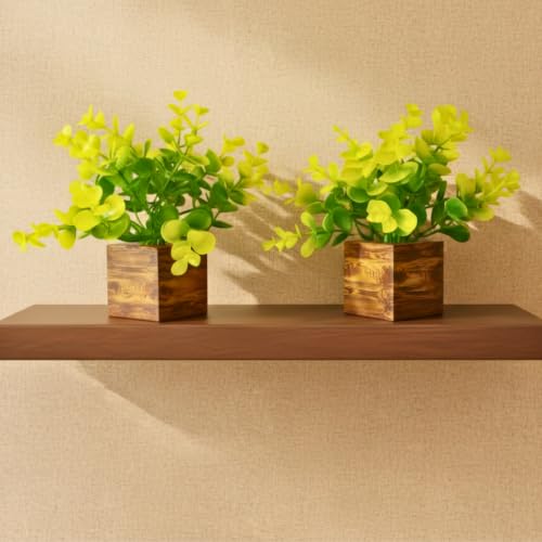 Image of DecoreBugs Artificial Eucalyptus Plant with Plastic Pot (Pack of 2) | 12 cm Height | Mini Potted Plants for Shelf Decor, Home, Office, Living Room, Desk & Table Item Decoration