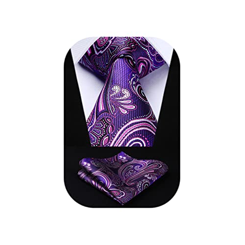 Image of HISDERN Ties for Men Paisley Tie and Pocket Square Woven Classic Floral Mens Ties Handkerchief Set Wedding Party Necktie