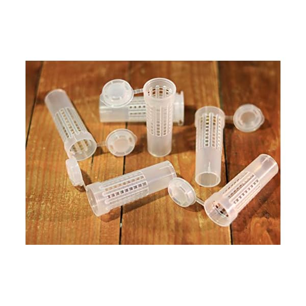 byander Nicot-Set 10 Stück + 25 Weiselnäpfchen von Nicot – Bild 5
