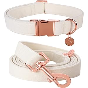 DOGWONG Cotton Dog Collar and...