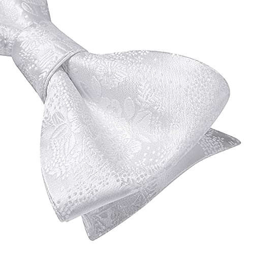 SetSense Men's Floral Jacquard Woven Self Bow Tie Set