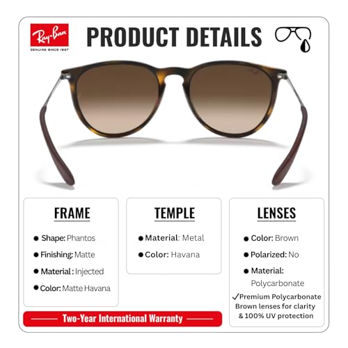 Image of Ray-Ban RB4171 ERIKA CLASSIC Phantos Shaped Sunglasses for Women with Official RAYBAN Eyewear Kit
