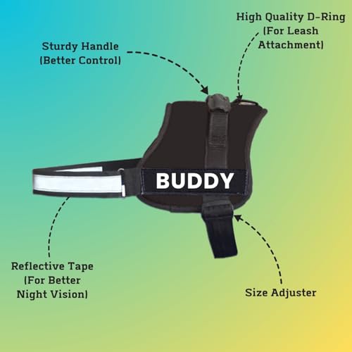 PAYTON-PERRY-Dog-Vest-Harness-with-Leash-Dog-Belt-for-Small-Dogs-No-Pull-Adjustable-Vest-Harness-for-Small-Dogs-Pomeranian-Beagle-Bulldog-S-Black-Recommended-for-5-13KG-Pets