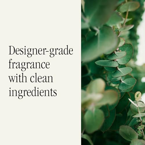 Image of Pura Car Scent Refill, Dew | Fragrance for Pura Car Diffuser, Clean and Safe Luxury Diffuser Scent, Long-Lasting Fragrance for 30 Days of Aroma