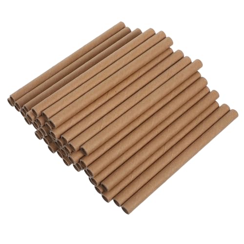GALPADA 100 Tubos de Cartón para Casas de Abejas Solitarias, Diámetro Interior 8 Mm, Longitud 15,2 Cm, Suministros para Apicultura y Anidación en Hoteles de Insectos, Repuestos para Nidos