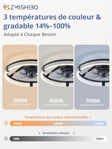 Ventilateur Plafond Chambre et Salon ZMISHIBO avec Timer Intégré