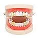 Huliyhus 2 Pcs 18K Gold Plated Double Tooth Cap Hip Hop Teeth Grillz Vampire Fangs Grills Set for Men Women Party Accessories Teeth Grills (01, Gold)