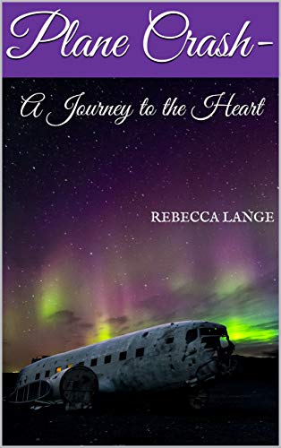 Télécharger Plane Crash - A Journey to the Heart (English Edition) Francais PDF