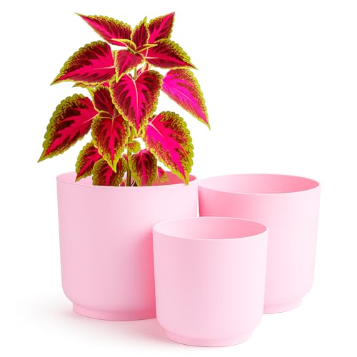 Home Garden Ornaments – Luna Übertopf 3er-Set Aus Kunststoff, Moderner Blumenübertopf & Blumentopf Für Innenräume, Matt, Ohne Abflusslöcher (Rosa, 13/15/17 cm) Home Garden Ornaments – Luna Übertopf 3er-Set Aus Kunststoff, Moderner Blumenübertopf & Blumentopf Für Innenräume, Matt, Ohne Abflusslöcher (Rosa, 13/15/17 cm)