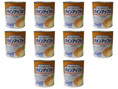 はごろもフーズ パインチビット 1/8カット 1号缶×10缶 常温(まとめ買い) (Vandroロゴ付包装・INDEXBOX)